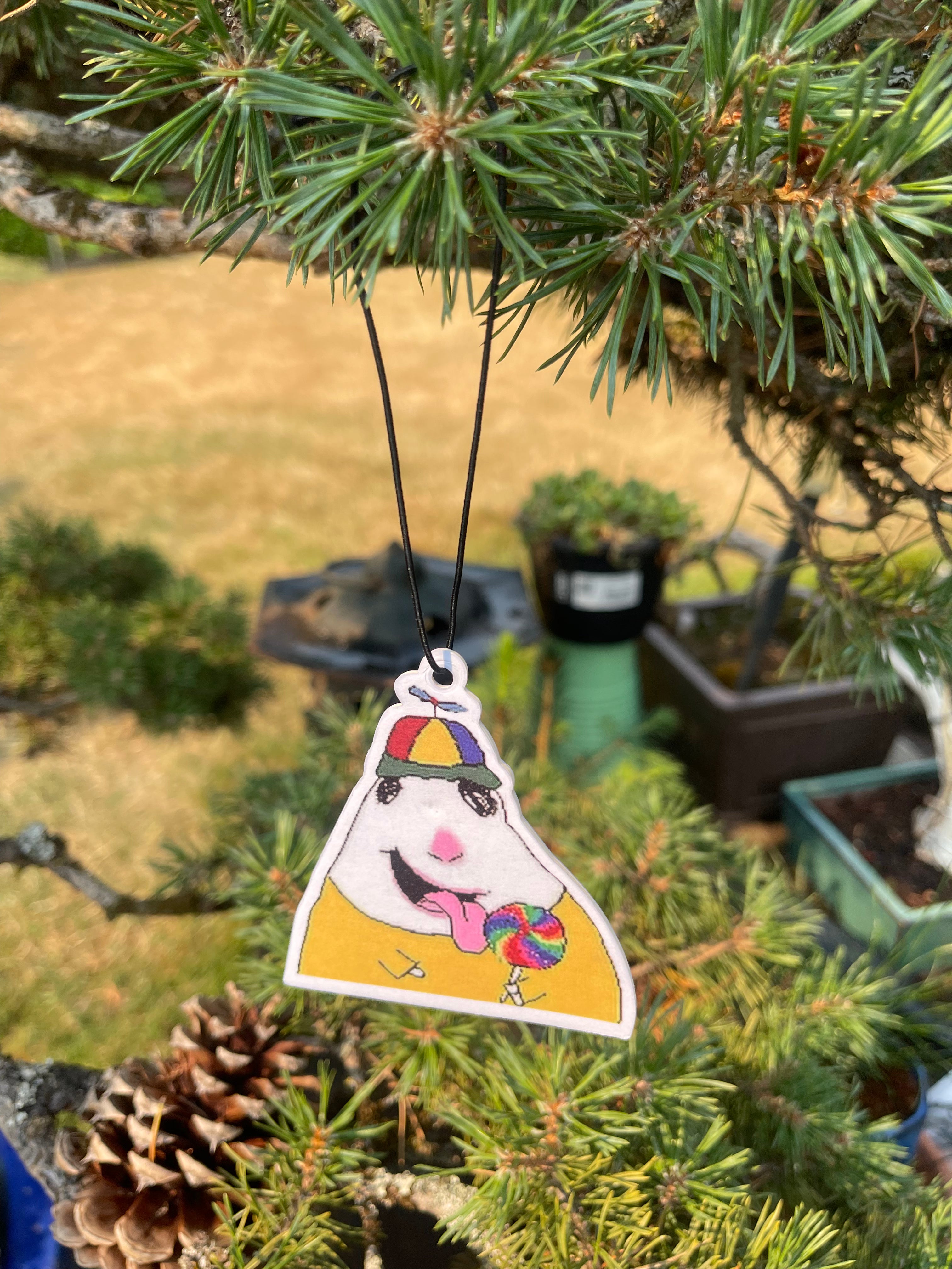 Air Freshner